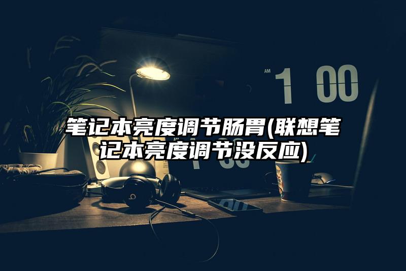 筆記本亮度調(diào)節(jié)腸胃(聯(lián)想筆記本亮度調(diào)節(jié)沒反應(yīng))