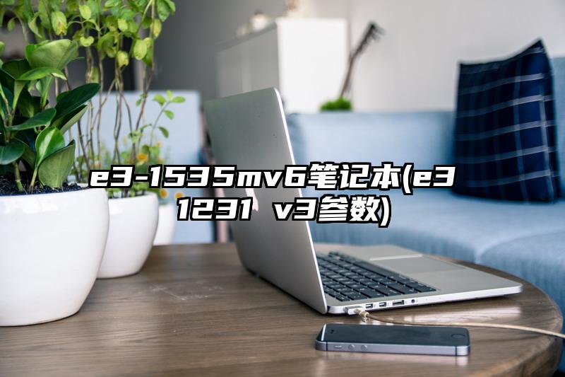 e3-1535mv6筆記本(e3 1231 v3參數(shù))