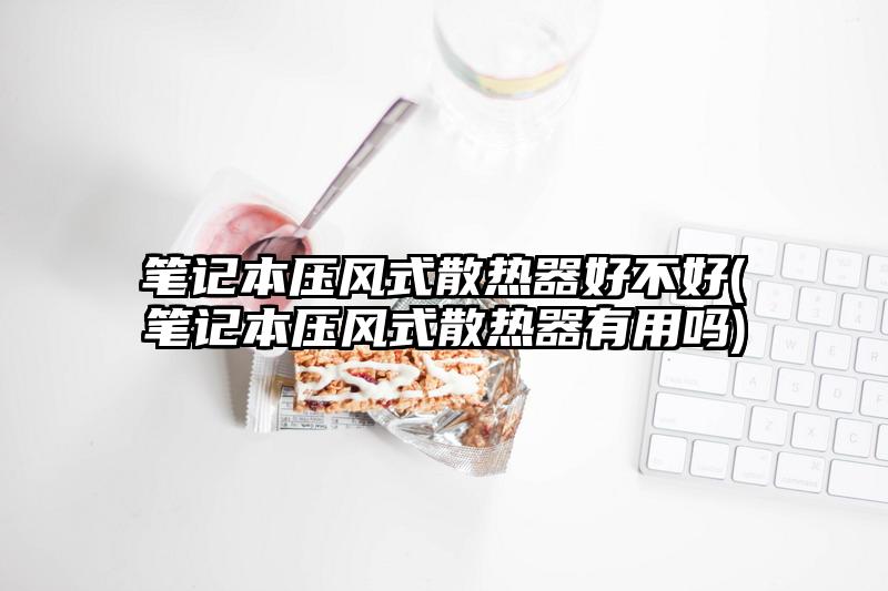 筆記本壓風式散熱器好不好(筆記本壓風式散熱器有用嗎)
