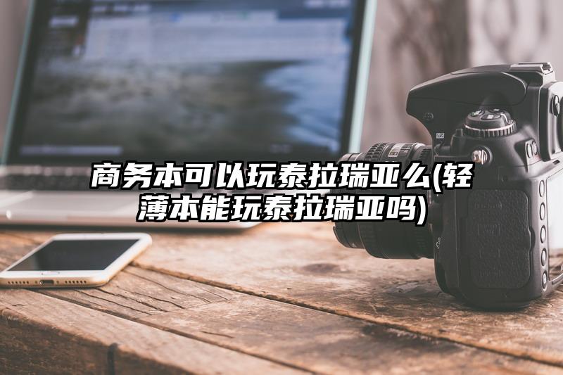 商務本可以玩泰拉瑞亞么(輕薄本能玩泰拉瑞亞嗎)