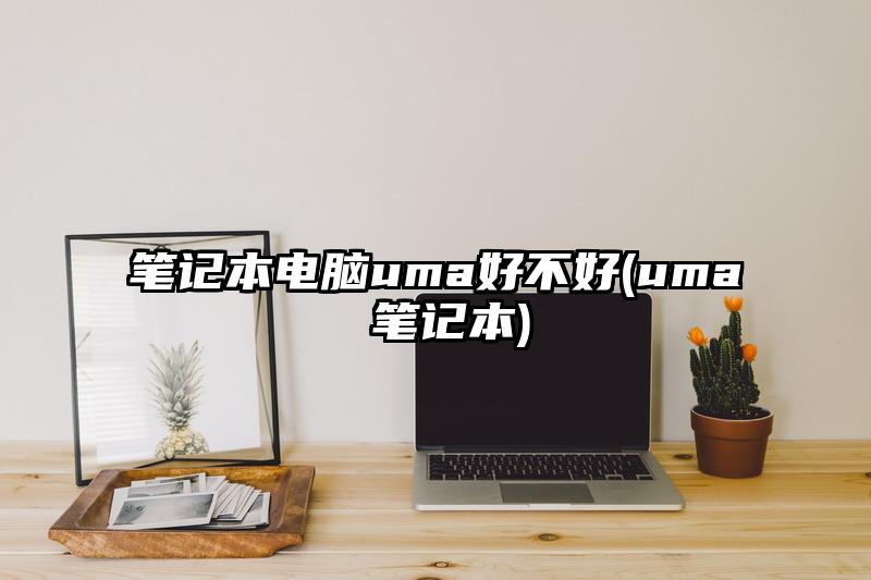 筆記本電腦uma好不好(uma 筆記本)