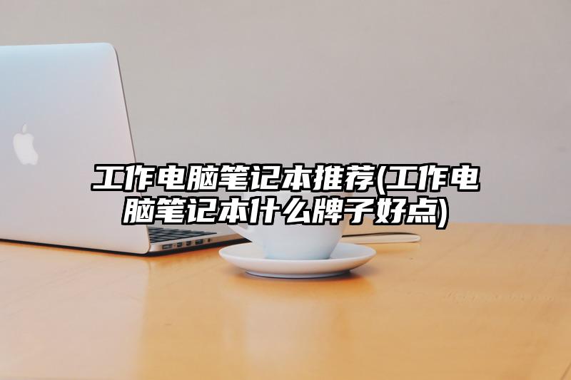 工作電腦筆記本推薦(工作電腦筆記本什么牌子好點)