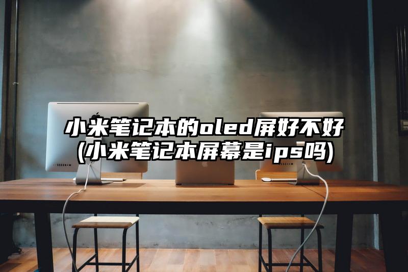 小米筆記本的oled屏好不好(小米筆記本屏幕是ips嗎)