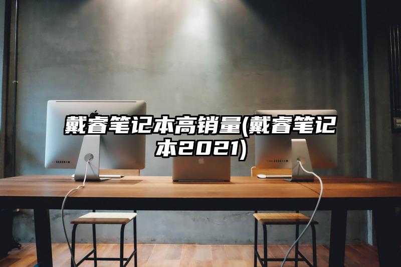 戴睿筆記本高銷量(戴睿筆記本2021)