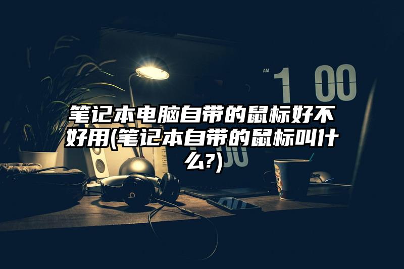 筆記本電腦自帶的鼠標好不好用(筆記本自帶的鼠標叫什么?)