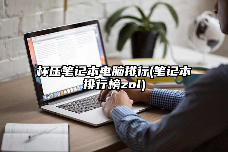 杯壓筆記本電腦排行(筆記本排行榜zol)