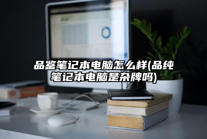 品鑒筆記本電腦怎么樣(品純筆記本電腦是雜牌嗎)