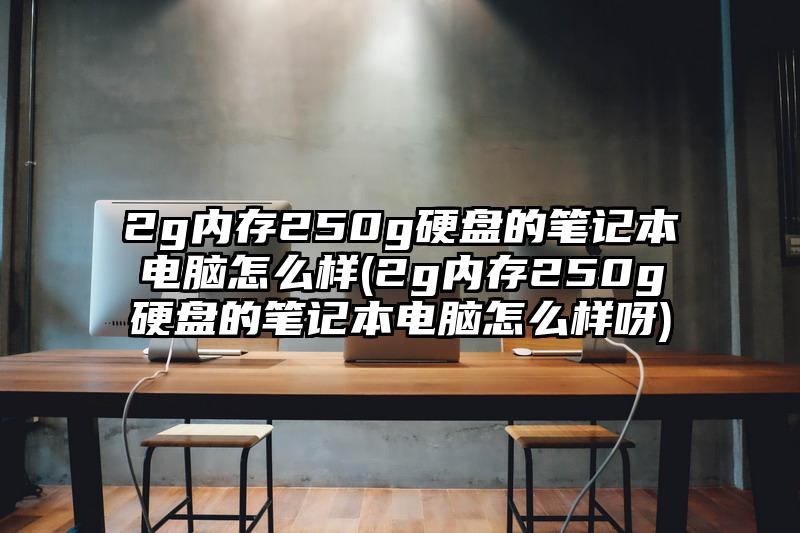 2g內存250g硬盤的筆記本電腦怎么樣(2g內存250g硬盤的筆記本電腦怎么樣呀)