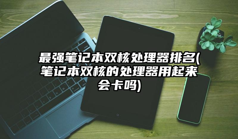 最強筆記本雙核處理器排名(筆記本雙核的處理器用起來會卡嗎)