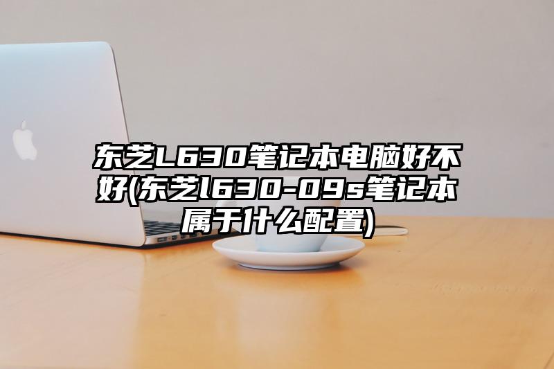 東芝L630筆記本電腦好不好(東芝l630-09s筆記本屬于什么配置)