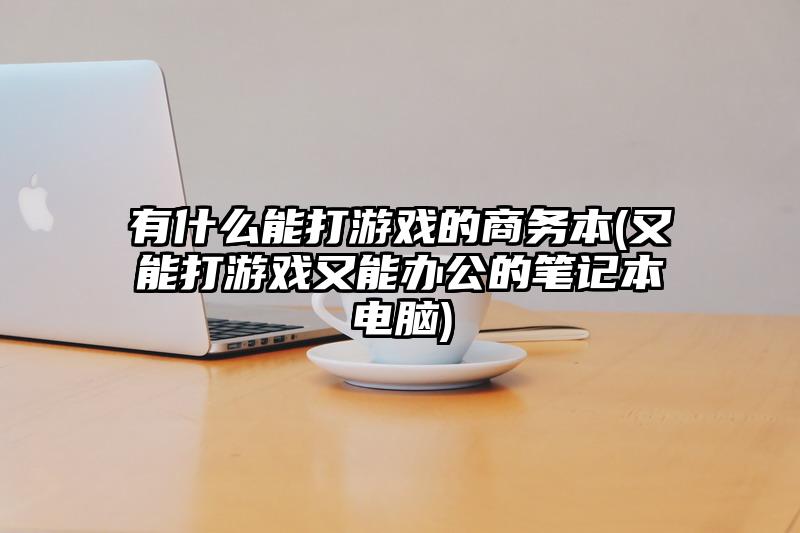 有什么能打游戲的商務本(又能打游戲又能辦公的筆記本電腦)
