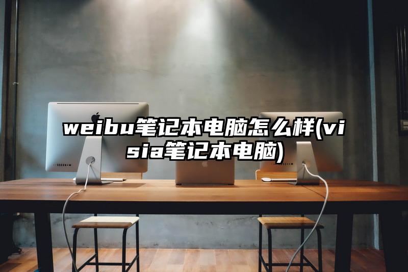 weibu筆記本電腦怎么樣(visia筆記本電腦)
