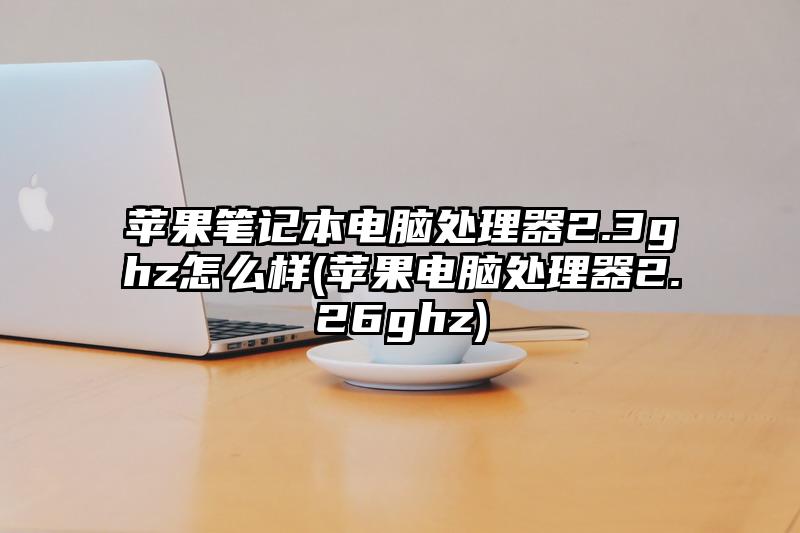 蘋果筆記本電腦處理器2.3ghz怎么樣(蘋果電腦處理器2.26ghz)