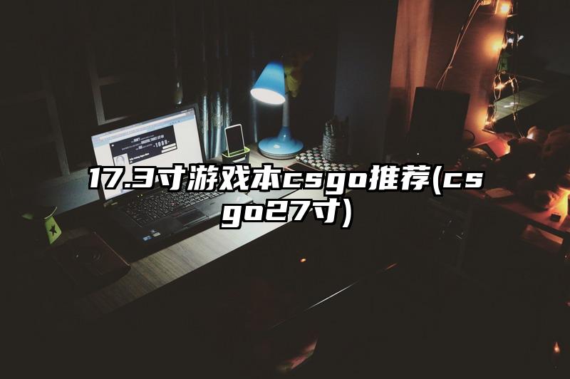 17.3寸游戲本csgo推薦(csgo27寸)