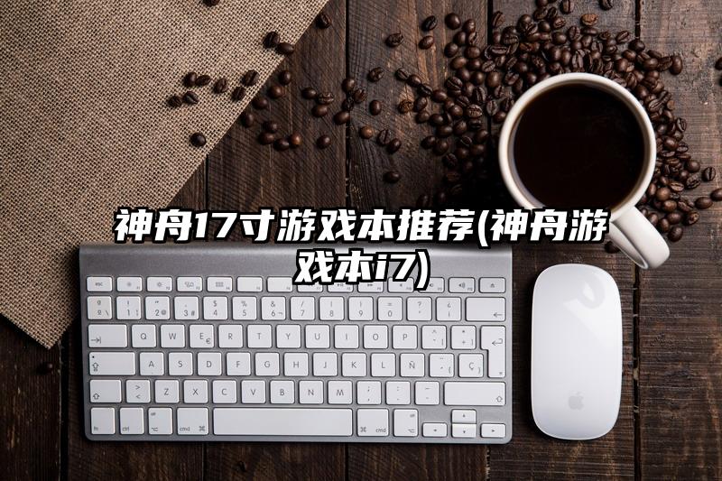 神舟17寸游戲本推薦(神舟游戲本i7)