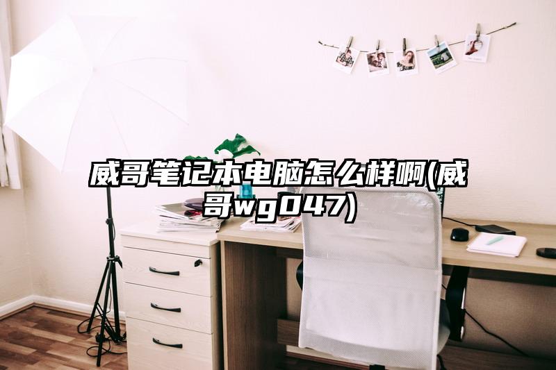 威哥筆記本電腦怎么樣啊(威哥wg047)