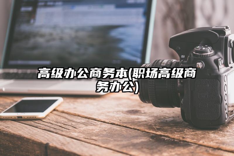 高級(jí)辦公商務(wù)本(職場(chǎng)高級(jí)商務(wù)辦公)
