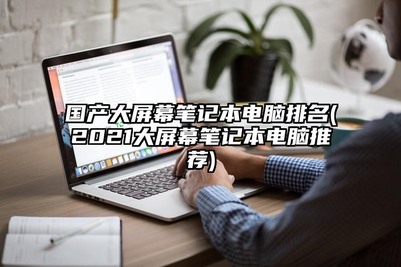 國產大屏幕筆記本電腦排名(2021大屏幕筆記本電腦推薦)