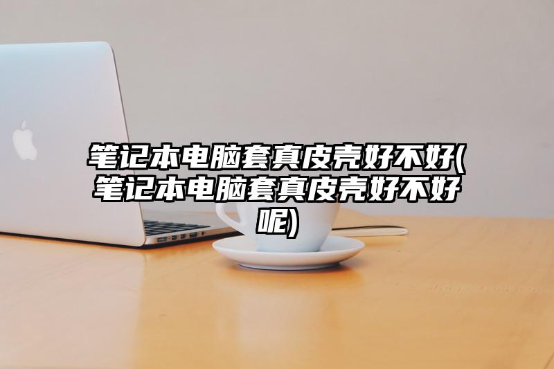 筆記本電腦套真皮殼好不好(筆記本電腦套真皮殼好不好呢)