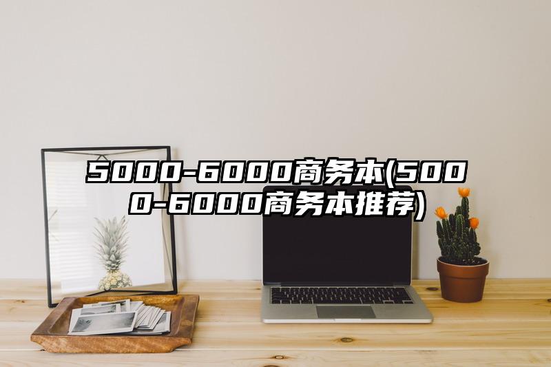 5000-6000商務(wù)本(5000-6000商務(wù)本推薦)