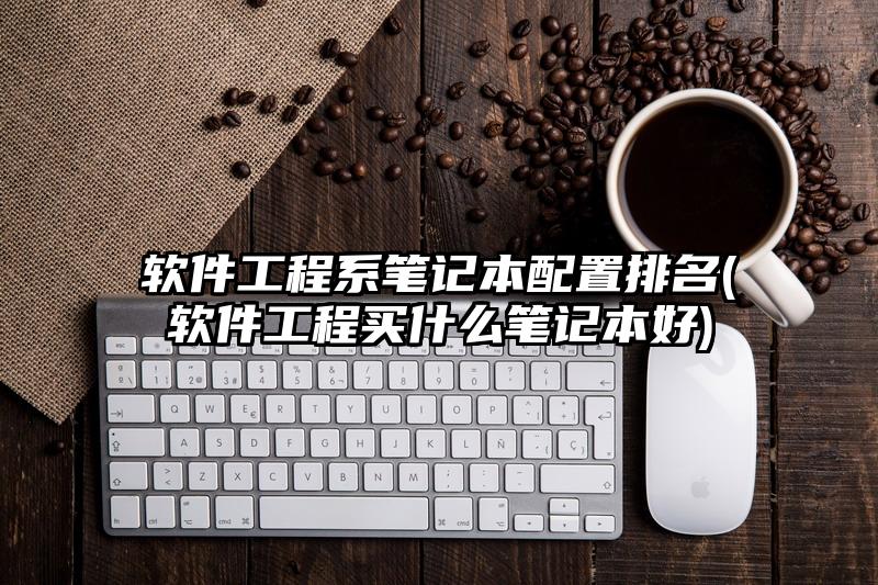 軟件工程系筆記本配置排名(軟件工程買什么筆記本好)