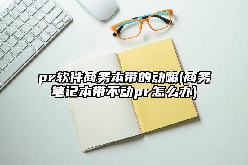pr軟件商務(wù)本帶的動(dòng)嘛(商務(wù)筆記本帶不動(dòng)pr怎么辦)