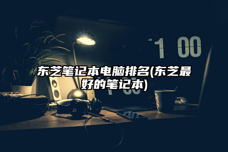 東芝筆記本電腦排名(東芝最好的筆記本)