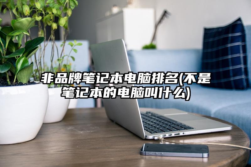 非品牌筆記本電腦排名(不是筆記本的電腦叫什么)