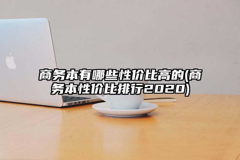 商務本有哪些性價比高的(商務本性價比排行2020)