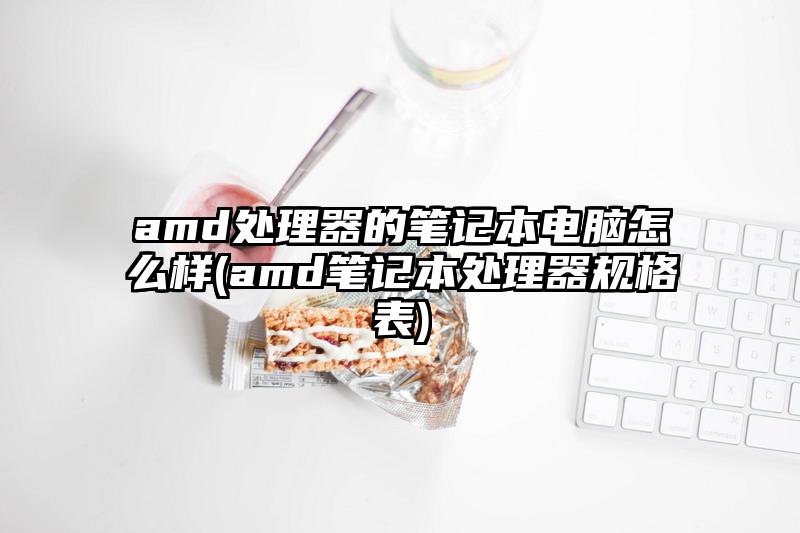 amd處理器的筆記本電腦怎么樣(amd筆記本處理器規格表)