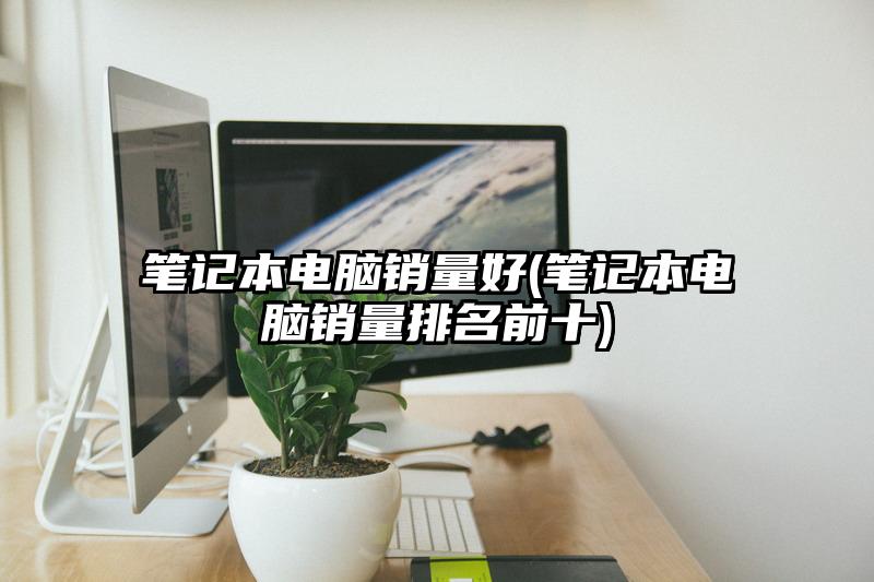 筆記本電腦銷(xiāo)量好(筆記本電腦銷(xiāo)量排名前十)
