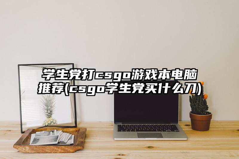 學生黨打csgo游戲本電腦推薦(csgo學生黨買什么刀)